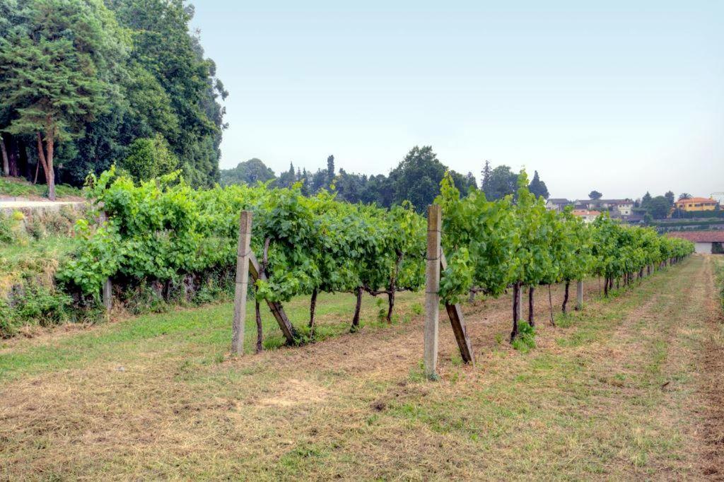 Quinta Da Tapada Βίλα Lousada Εξωτερικό φωτογραφία